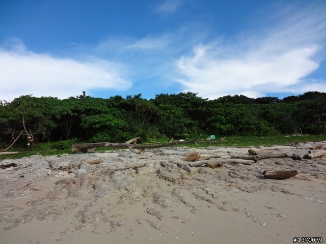 與海龜相逢在小琉球 Liuqiu. To meet green turtle.