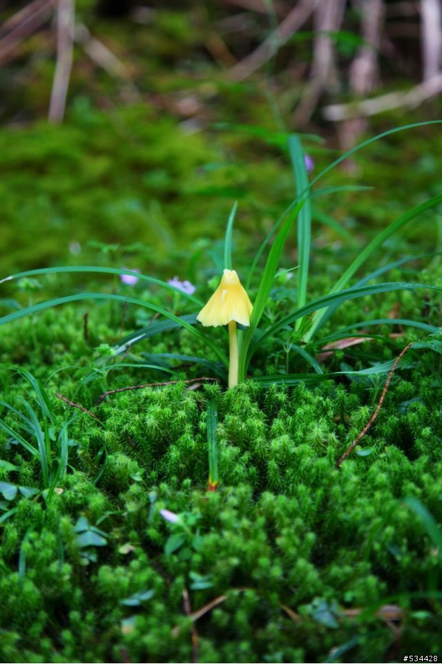 [完封] 挑戰世界之母 成功攻頂聖山 並順利登上世界最高的湖泊!