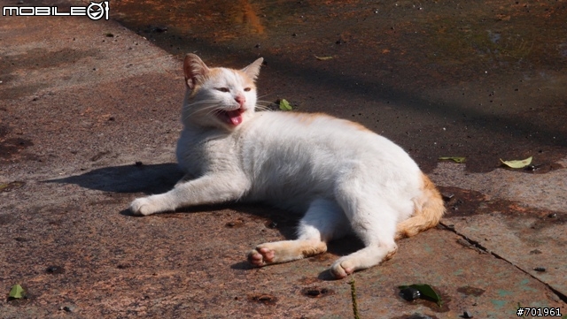 [環島] 2012.02.16~03.01 小折環島遊記(文長 and 補圖)