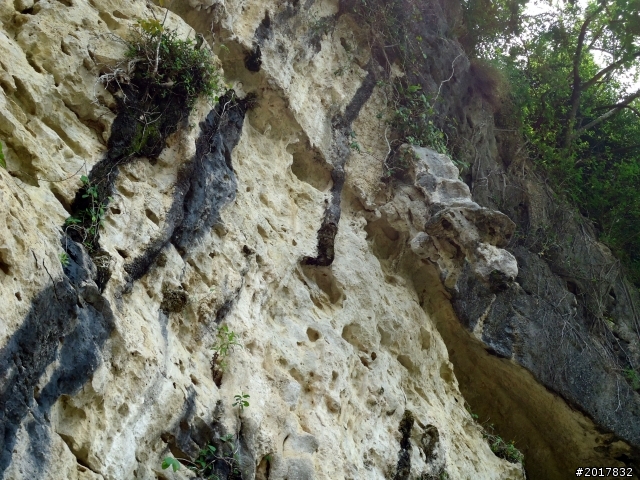 2012-7-10高雄燕巢惡地形絕地逢生險象之旅