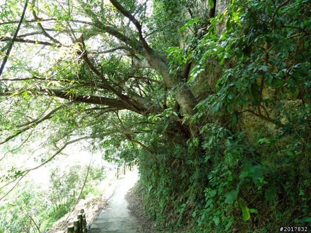 2012-7-10高雄燕巢惡地形絕地逢生險象之旅