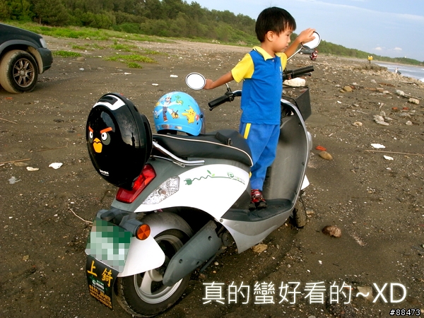 【使用記錄】Angry Bird造型小行李箱_KAB-B-132
