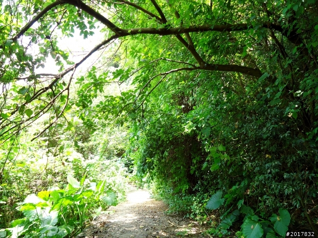 2012-7-10高雄燕巢惡地形絕地逢生險象之旅
