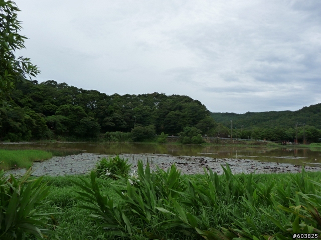 20120722~0727六天五夜＆四極點-Big勁風90＆豪邁125環島之旅-Day4