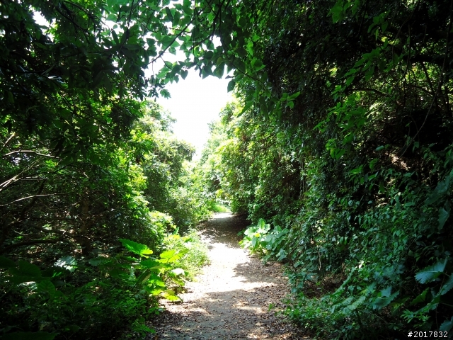 2012-7-10高雄燕巢惡地形絕地逢生險象之旅