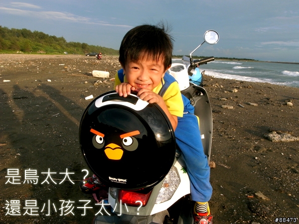 【使用記錄】Angry Bird造型小行李箱_KAB-B-132
