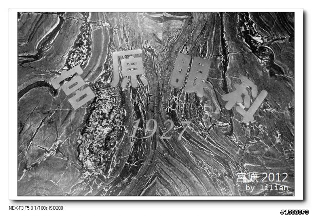 NEX F3 黑白的宮原眼科