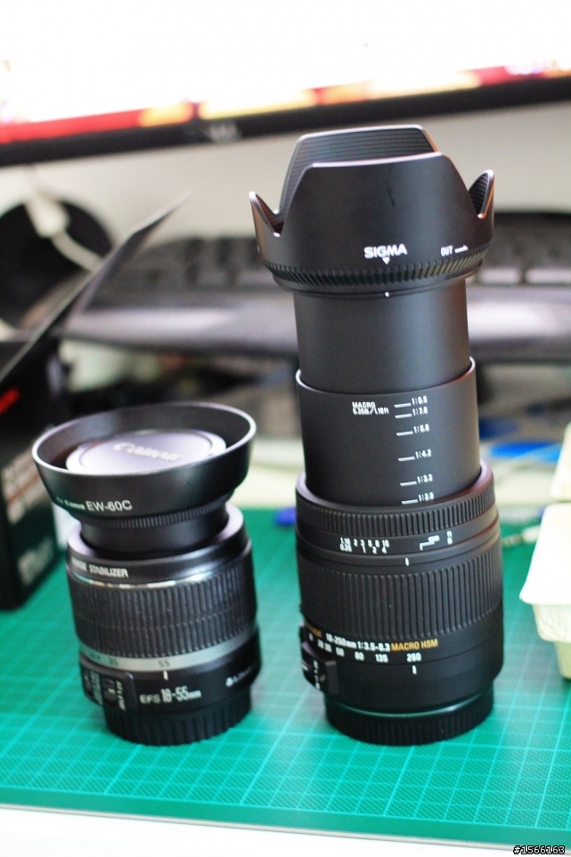 SIGMA 18-250mm F3.5-6.3 DC MACRO OS HSM For Canon AF開箱