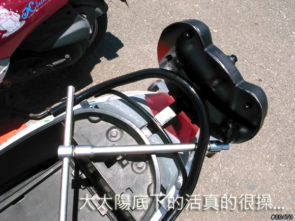【使用記錄】Angry Bird造型小行李箱_KAB-B-132