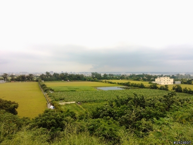 【分享】Lumia 800的新竹一日遊隨拍