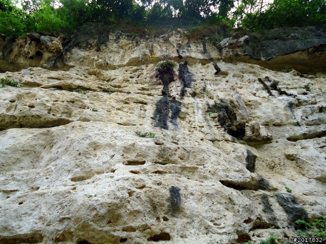 2012-7-10高雄燕巢惡地形絕地逢生險象之旅