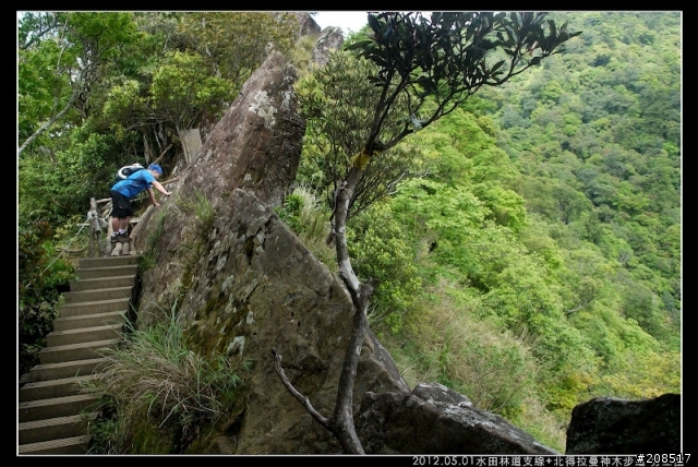 4＋2＋2遊水田林道支線+北得拉曼神木步道