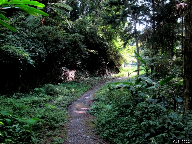 [影片]夏、18度C、羅山林道南線秘境-2012-0708