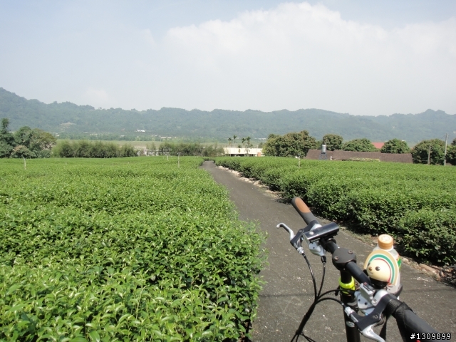 2012 夏，起心動念再環島，回彰化，全文畢