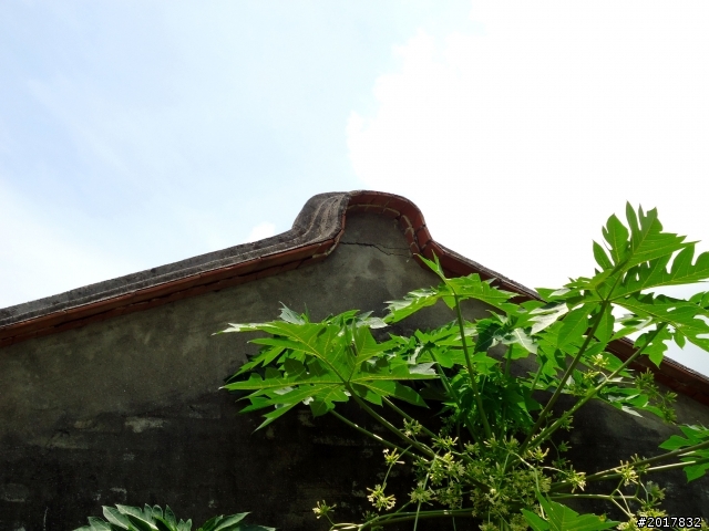 2012-7-10高雄燕巢惡地形絕地逢生險象之旅