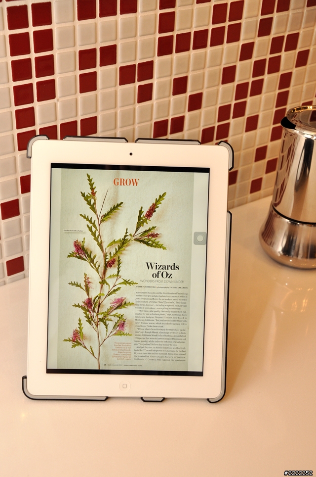 真正給New iPad的保護殼