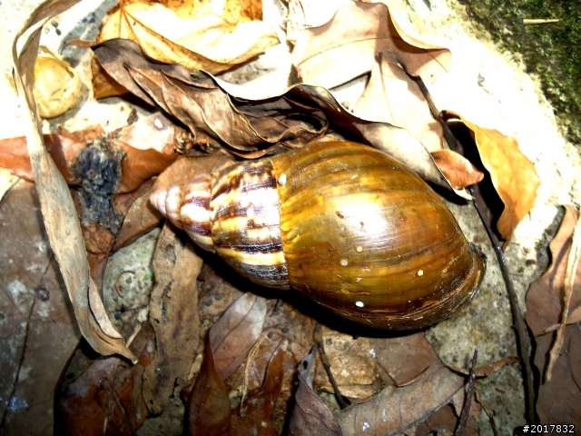 2012-7-10高雄燕巢惡地形絕地逢生險象之旅