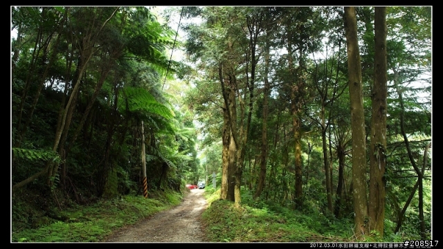 4＋2＋2遊水田林道支線+北得拉曼神木步道