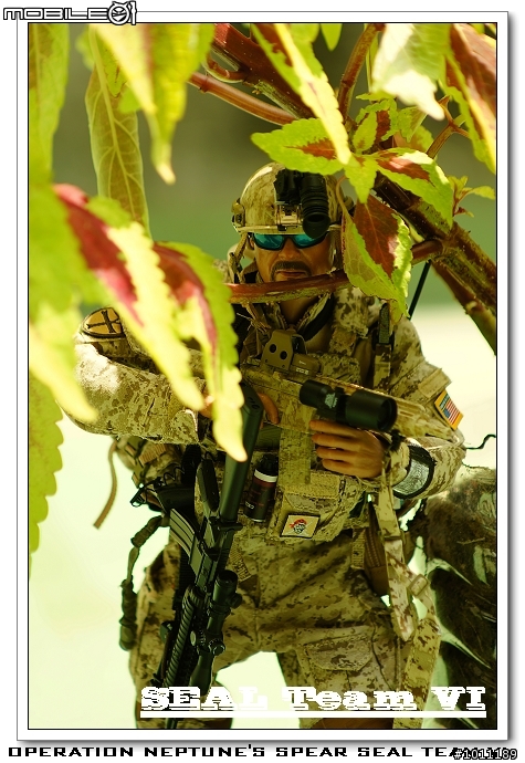 Soldier Story 海豹六隊。海王星之矛行動