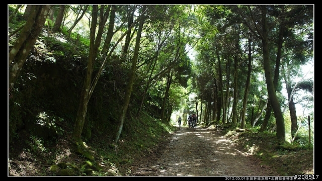 4＋2＋2遊水田林道支線+北得拉曼神木步道