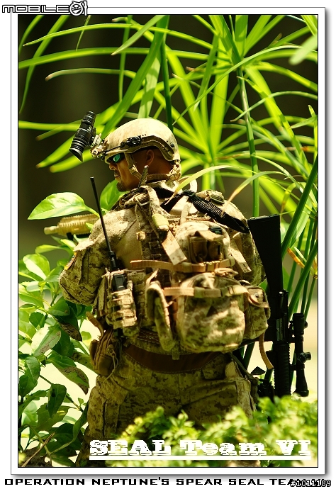 Soldier Story 海豹六隊。海王星之矛行動