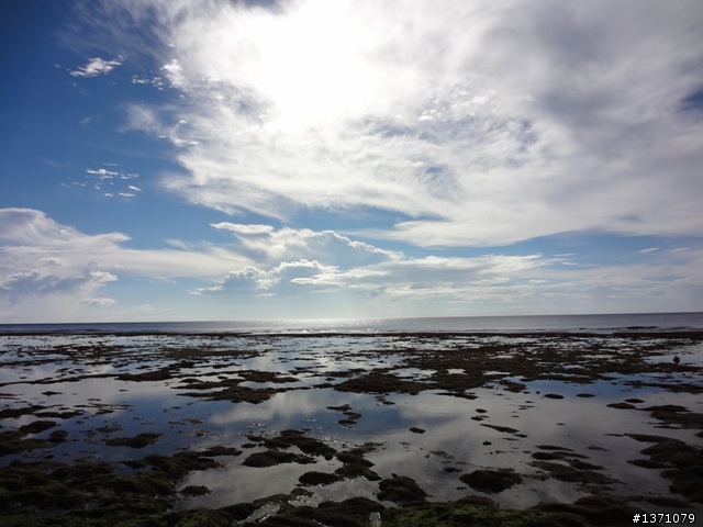 與海龜相逢在小琉球 Liuqiu. To meet green turtle.
