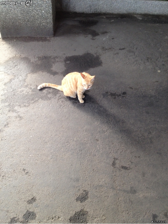 GO,一個人環島之自嗨人生 7/23-27