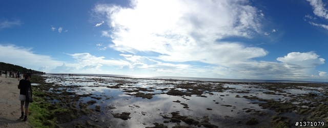 與海龜相逢在小琉球 Liuqiu. To meet green turtle.