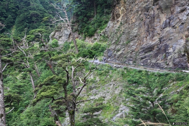 潑墨畫般的景色-合歡溪步道