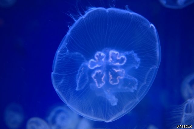 簡單消遙澎湖遊