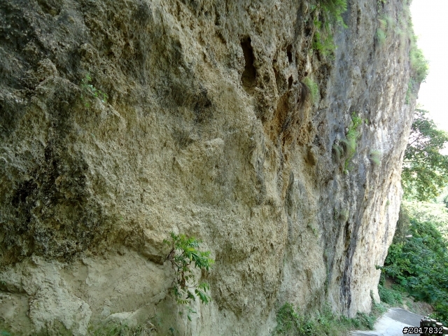 2012-7-10高雄燕巢惡地形絕地逢生險象之旅
