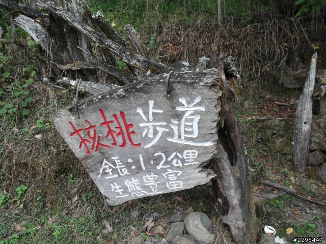 一個人的鎮西堡+司馬庫斯之旅的流水帳 DAY1-2