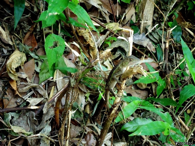 2012-7-10高雄燕巢惡地形絕地逢生險象之旅