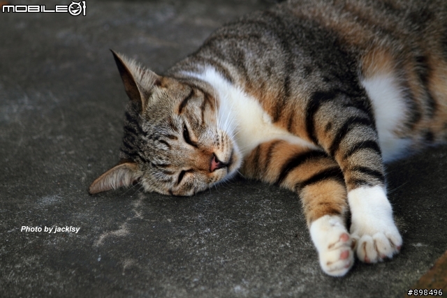 再訪"沒有猴的山城"-侯硐