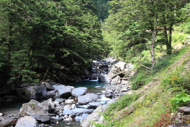 潑墨畫般的景色-合歡溪步道