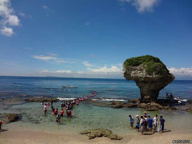與海龜相逢在小琉球 Liuqiu. To meet green turtle.