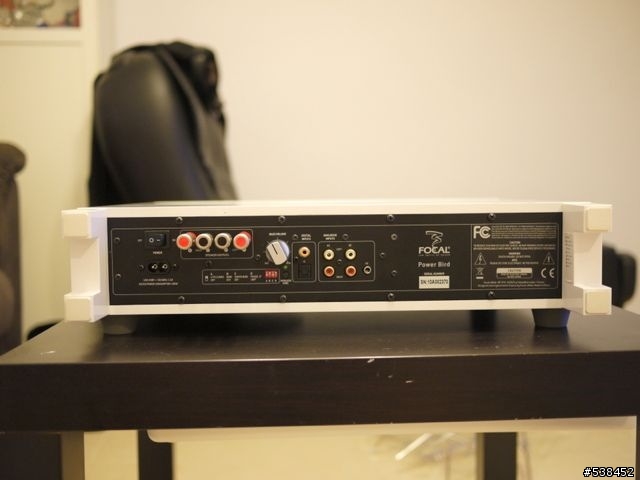 生日禮物 Focal Bird