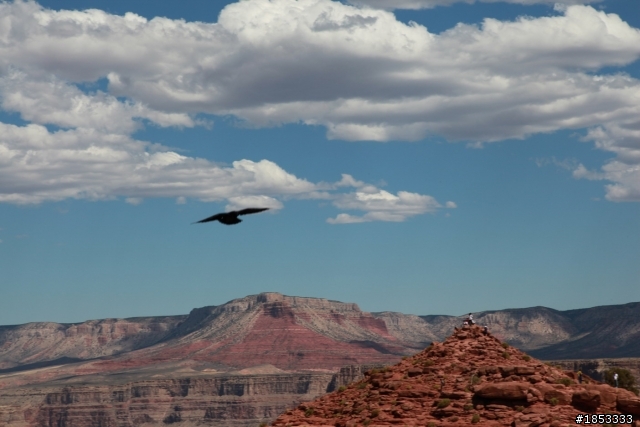 24~105拍烏鴉不過.....