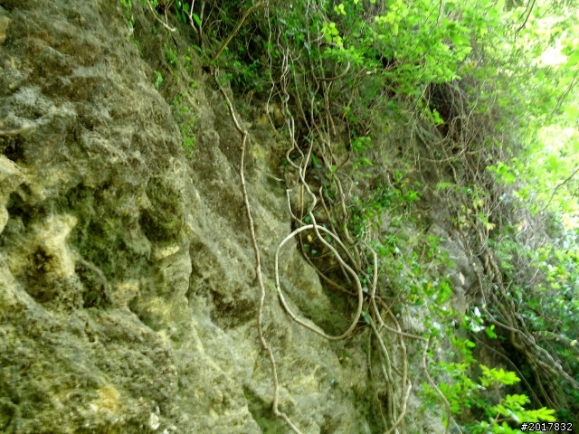 2012-7-10高雄燕巢惡地形絕地逢生險象之旅