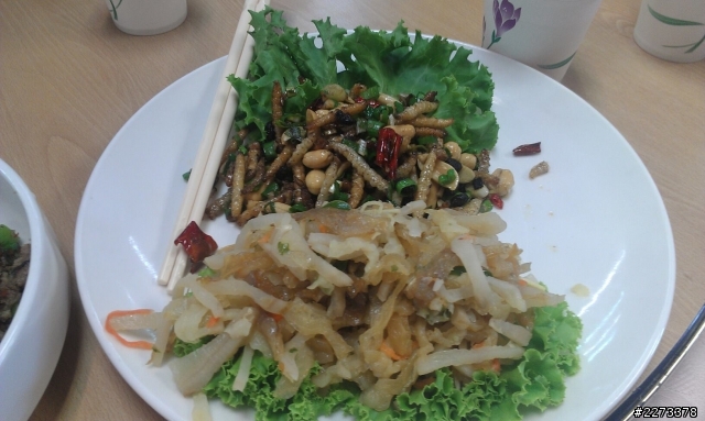 請問這是何種 昆蟲