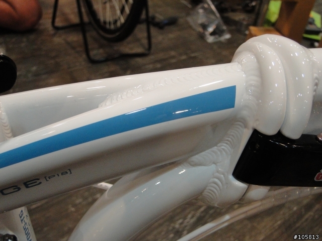 Tern Verge P18 簡易開箱文[我的第一台有快拆的駒]...