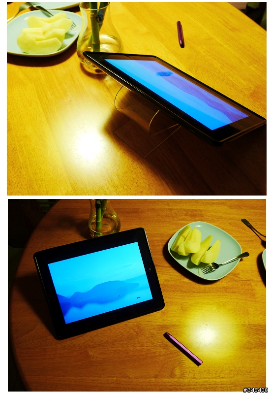 Born to stand... Crystal Holder for ipad (野人獻曝)