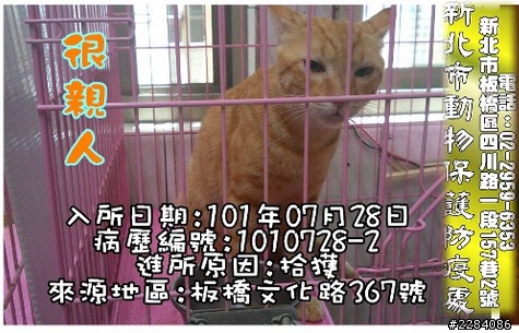 貓咪認養記，故事未完...需要大家協助完成 ! ( 未結束的Ending )