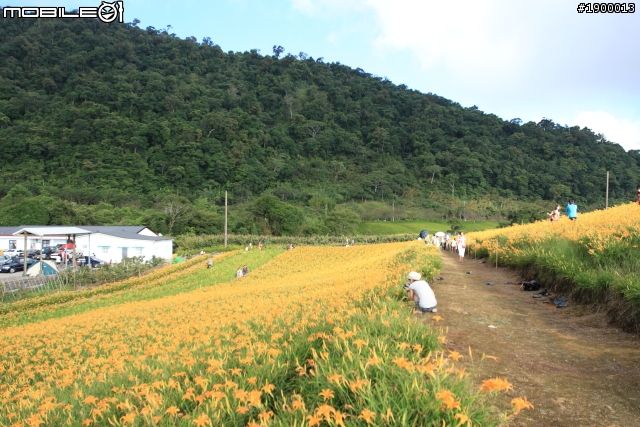 Fiesta 免費開回家 24小時Fun一夏  之花東篇 (赤柯山.金樽遊憩區 鹿野高台 知本 )