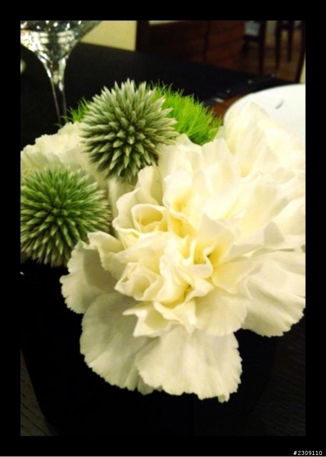 請問這是什麼花?