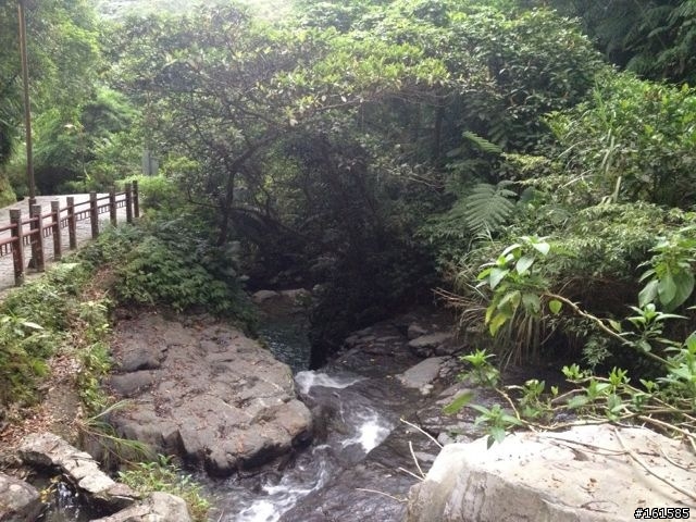 聖母朝聖地登山道
