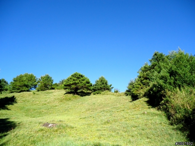 2012-8-12-13塔塔加麟趾山古道逍遙遊