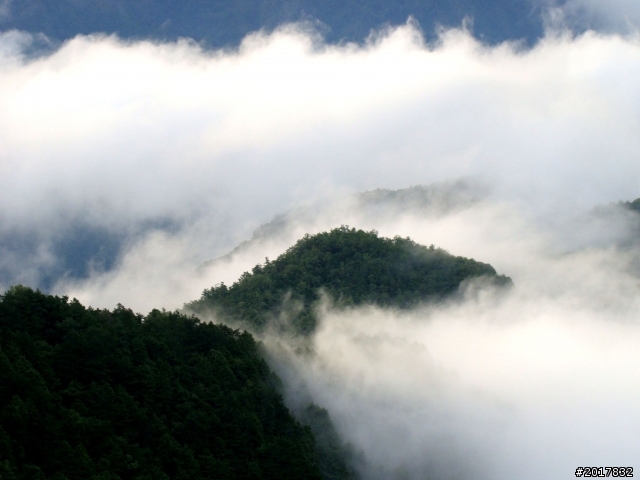 2012-8-12-13塔塔加麟趾山古道逍遙遊