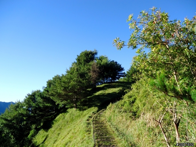 2012-8-12-13塔塔加麟趾山古道逍遙遊