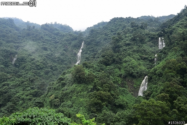 當年覺得"她"不好看，現在是我可愛大白熊！